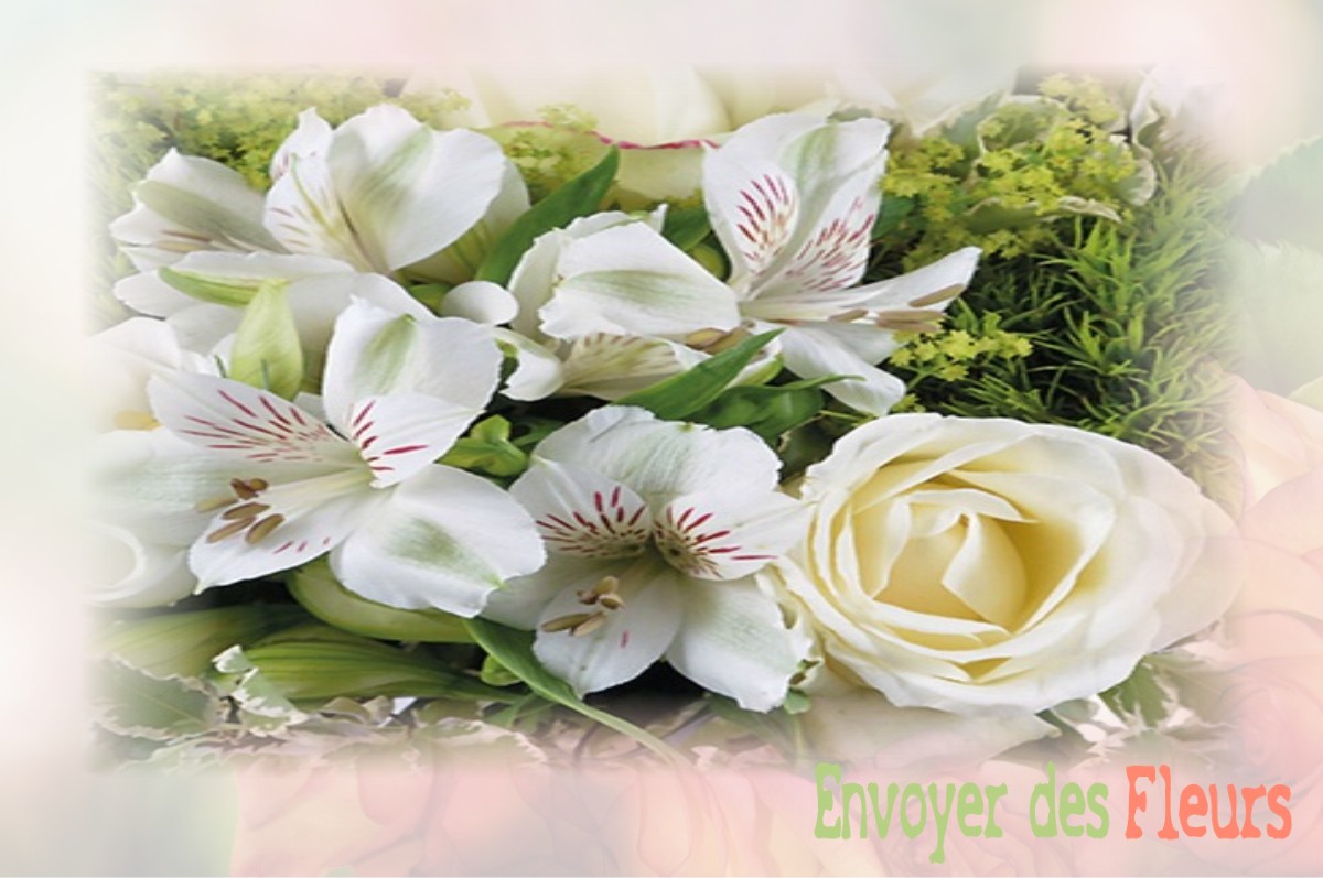 envoyer des fleurs à à SAINT-PIERRE-SUR-VENCE